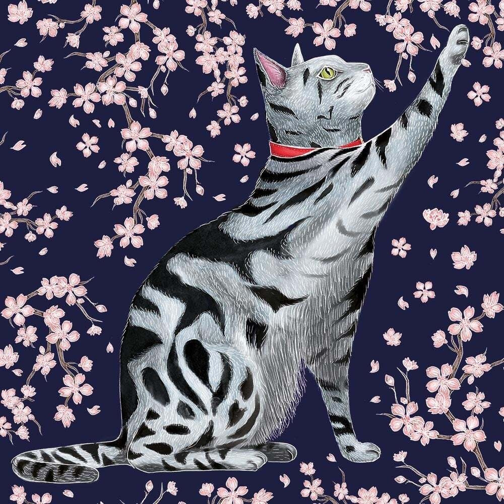 Sakura Cat Card