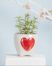 Load image into Gallery viewer, Small Heart Planter
