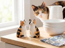 Load image into Gallery viewer, Sitting Tabby Cat S&amp;P Shakers
