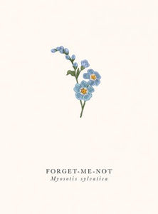 Forget Me Not Blank Card