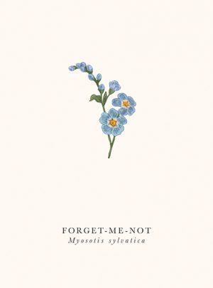 Forget Me Not Blank Card