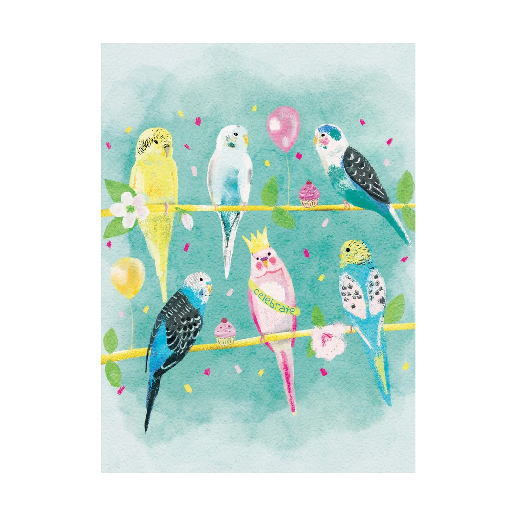 Birthday Budgies Card
