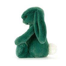 Load image into Gallery viewer, Jellycat Little Bashful Teal Bunny
