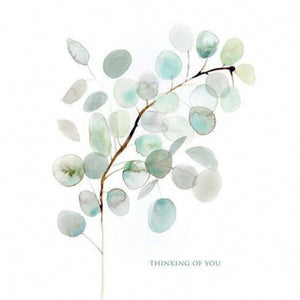 Eucalyptus Thinking of You Card
