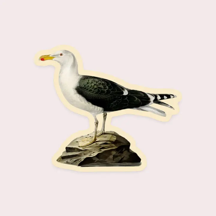 Dismayed Gull Sticker (shc)
