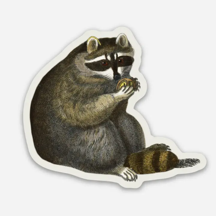 Unbothered Raccoon Sticker (shc)
