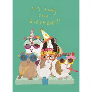 Guinea Pig Party Birthday Card