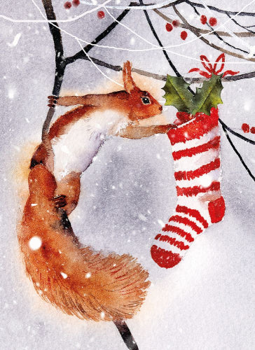 Check the Stocking Squirrel Box Holiday Cards/8
