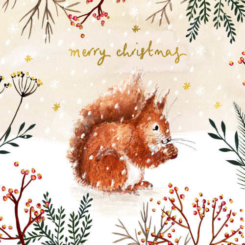 Squirrel Merry Christmas