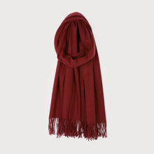 Load image into Gallery viewer, Super Soft Tassel Scarf (Caracol)
