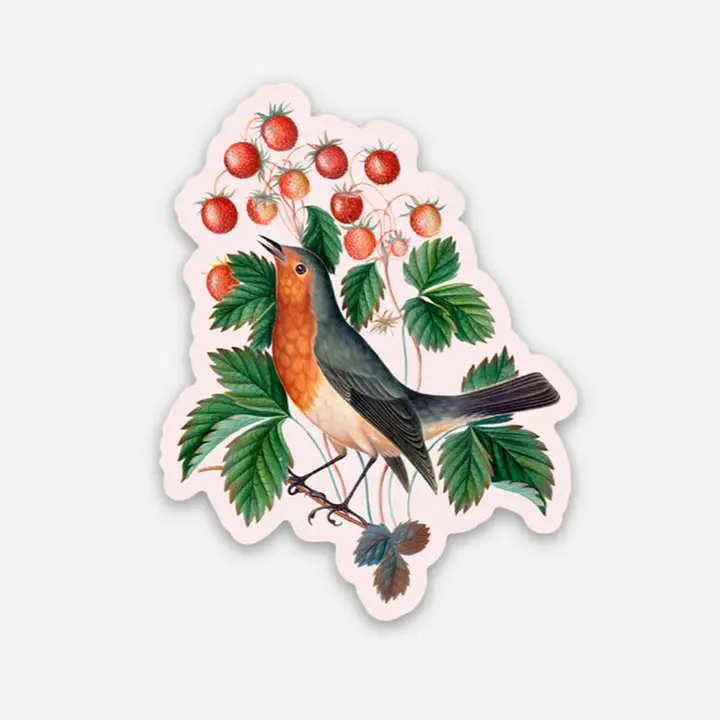 Determined Robin Sticker (shc)