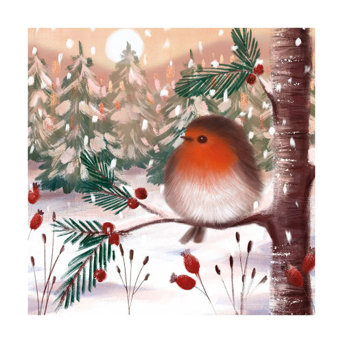 Fluffy Robin Christmas Card Pack/8