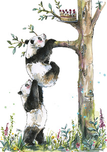 Snowtap Pandas Birthday Card
