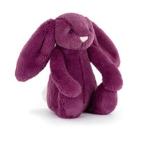 Load image into Gallery viewer, Jellycat Little Bashful Allium Bunny
