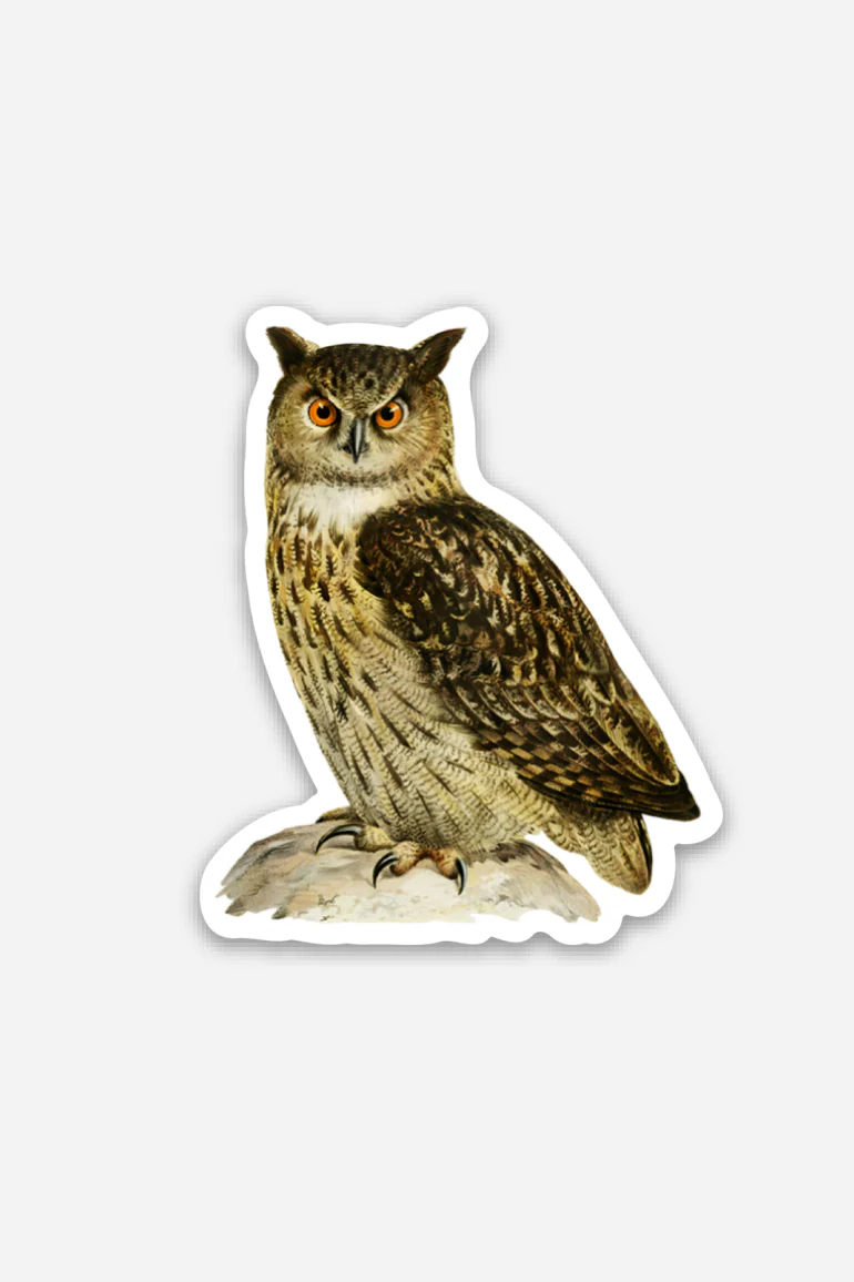 Stay Home Club Sticker - Disgusted Owl