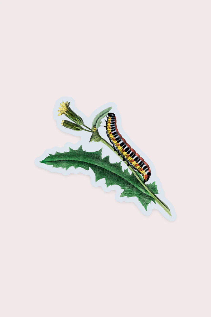 Stay Home Club Sticker - Nosy Caterpillar