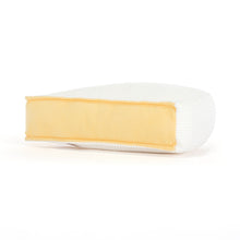 Load image into Gallery viewer, Jellycat Amuseable Brie
