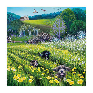 Field of Dreams Blank Card