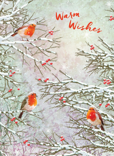 Robins Holiday Card