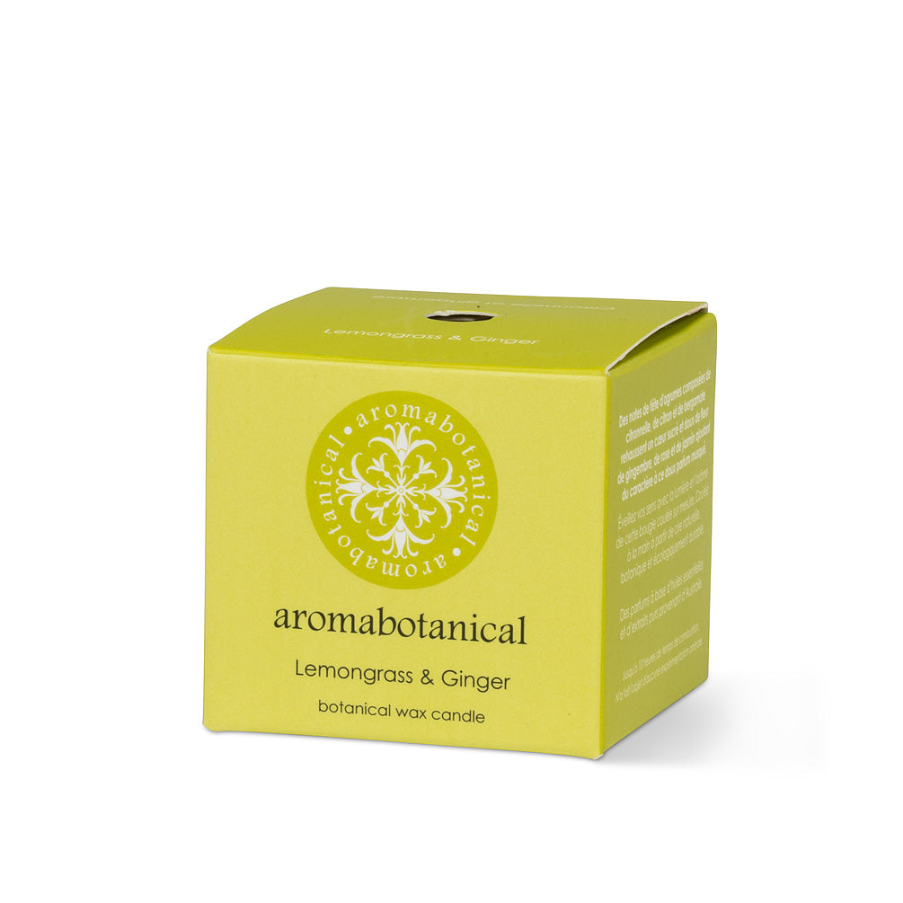 Lemongrass and Ginger Candle - mini
