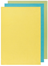 Load image into Gallery viewer, Floursack set/3 Tea Towels -chartreuse/turq/leaf
